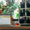 Qu’est-ce que le marketing automation en emailing ?